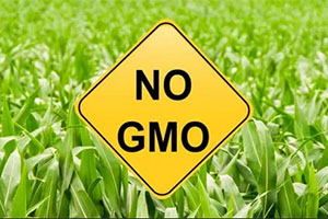 Знак «Нет ГМО»
