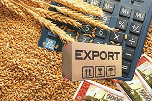 Зерно на экспорт