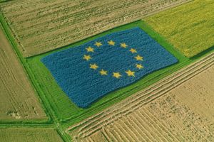 Эмблема Евросоюза на поле