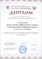 Диплом победителя конкурса «Лучшие товары и услуги Республики Хакасия»