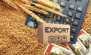 Зерно на экспорт